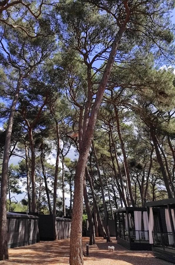 Mobile Home More Porton Nature Hideouts Rovinj Exterior foto